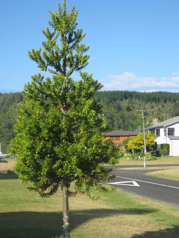 Ferienwohnung Addsbury House Whangamata Exterior foto
